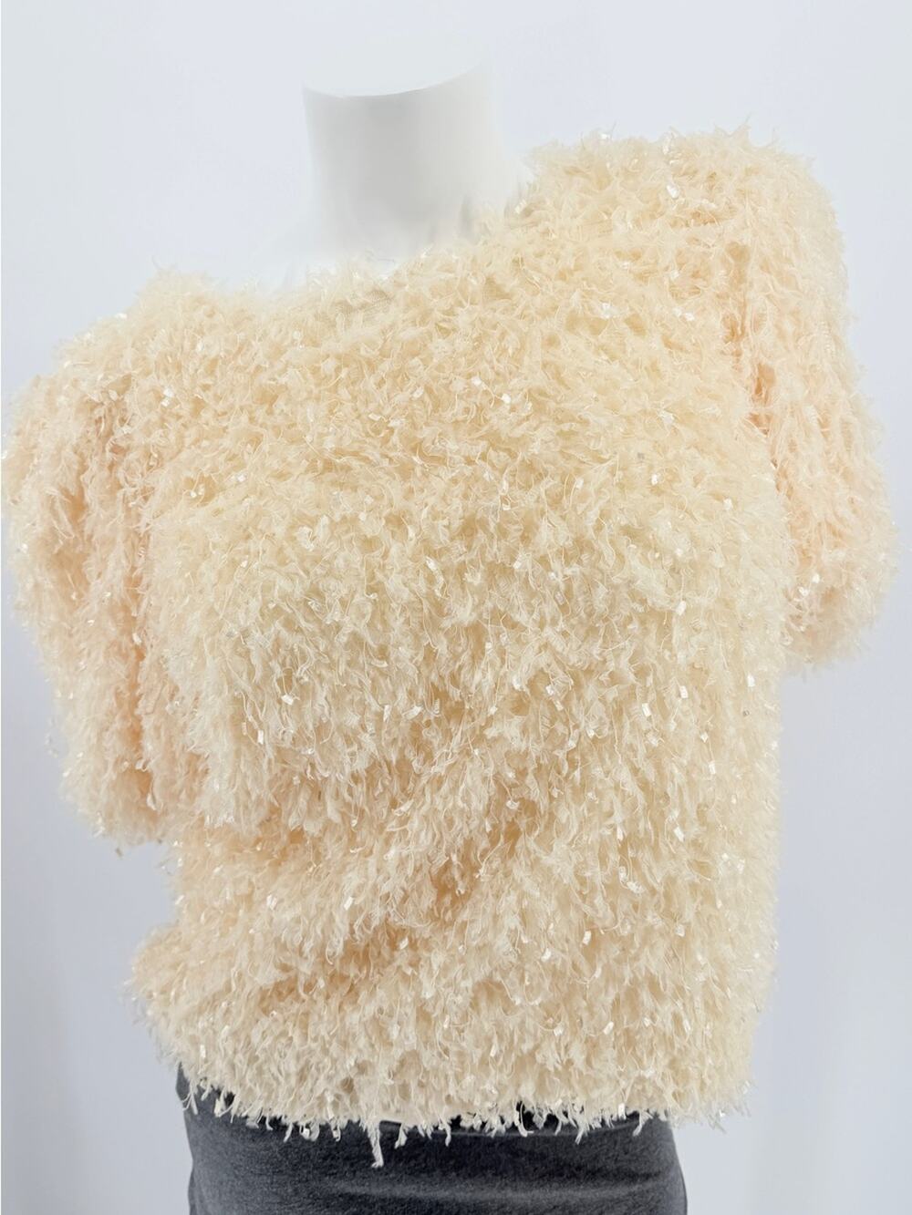 Anthropologie English Factory feather Shaggy puffed sleeve top women medium